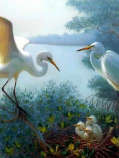 Other Wallpapers 0699